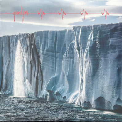 Pearl Jam - Gigaton (2LP)